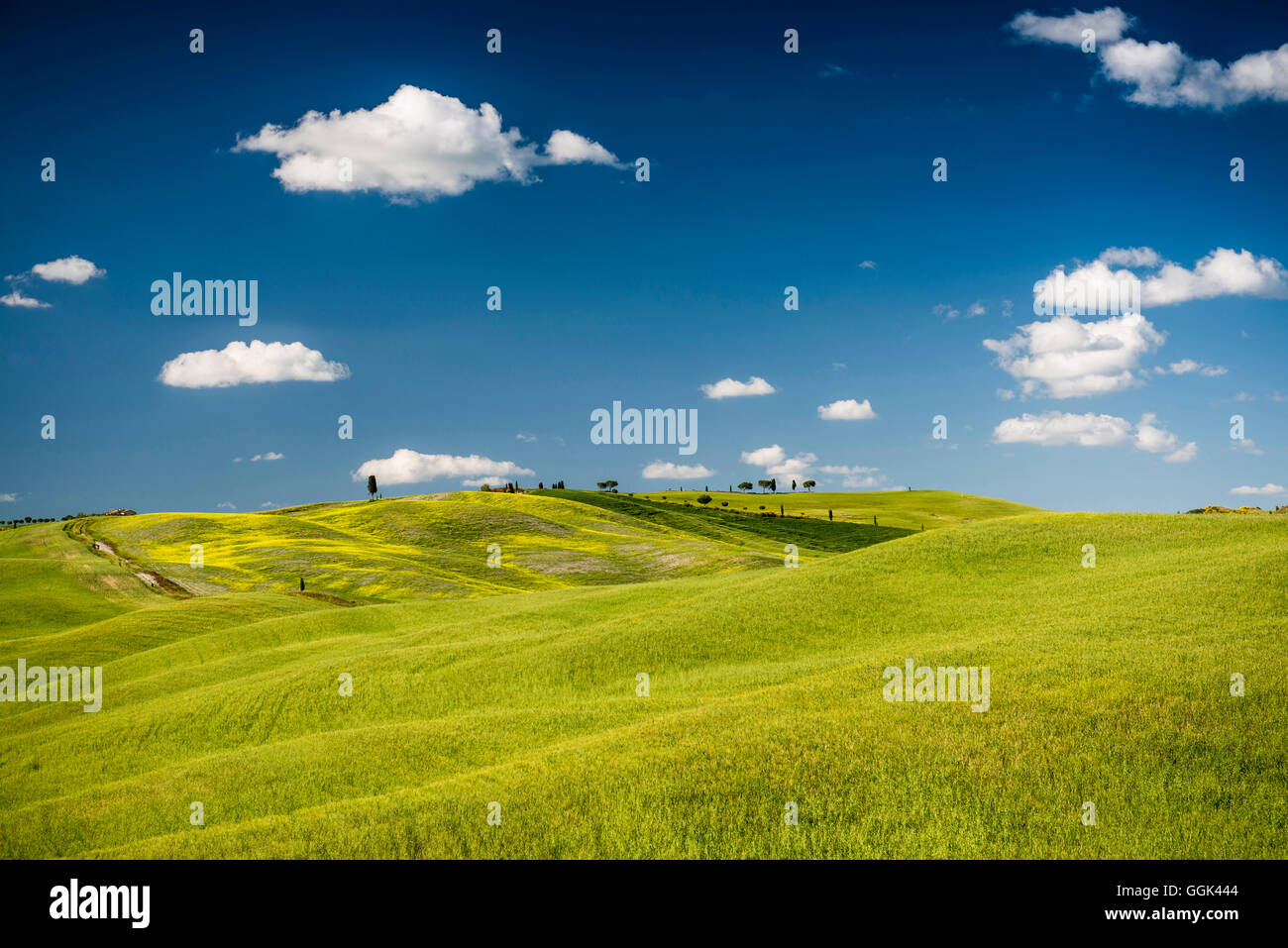 landscape, near San Quirico d`Orcia, Val d`Orcia, province of Siena, Tuscany, Italy, UNESCO World Heritage Stock Photo